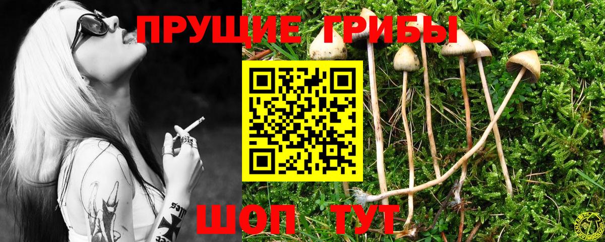 Галлюциногенные грибы Cubensis Топки