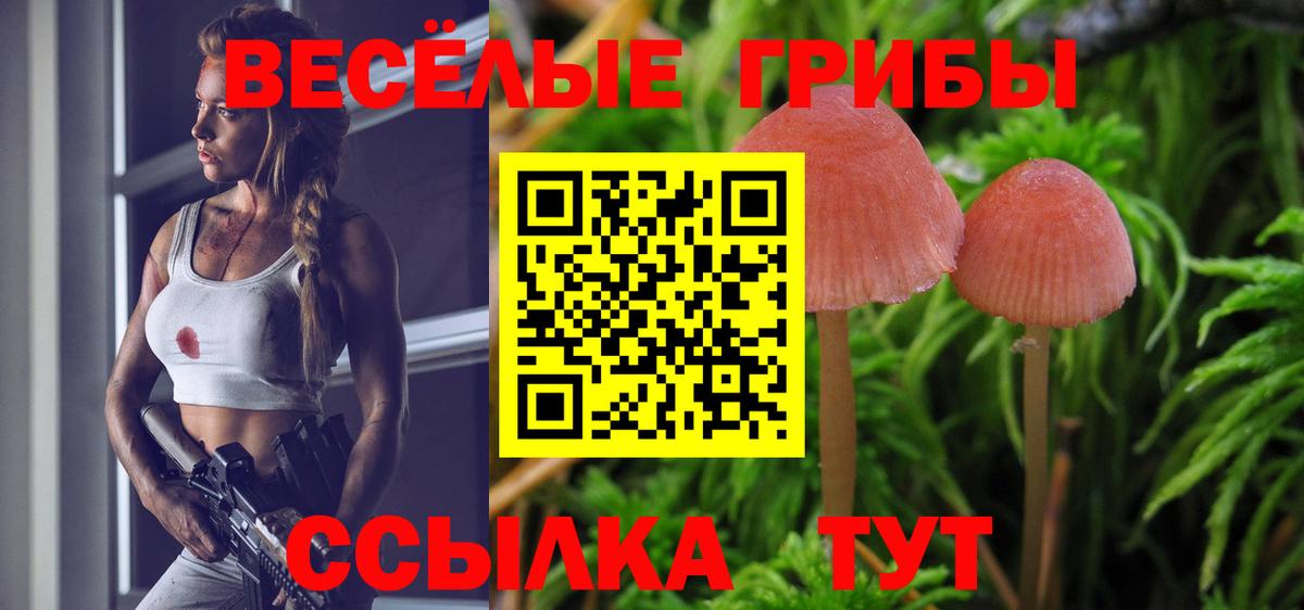 Топки  Галлюциногенные грибы Cubensis  Вход с VPN  Галлюциногенные грибы GOLDEN TEACHER 