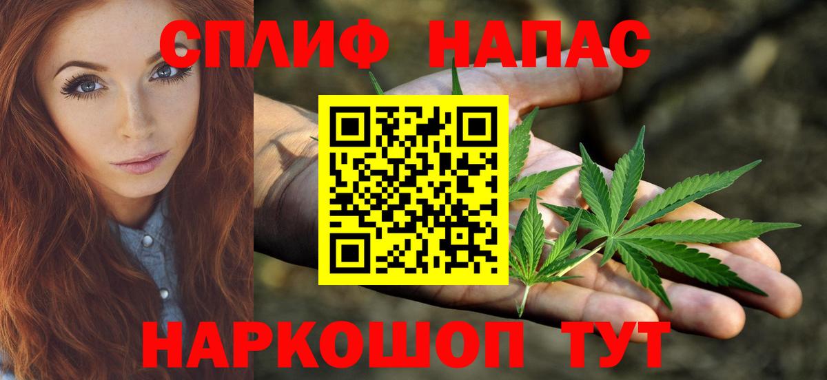 Каннабис индика Топки